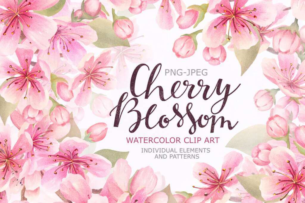 Cherry Blossom Watercolor

