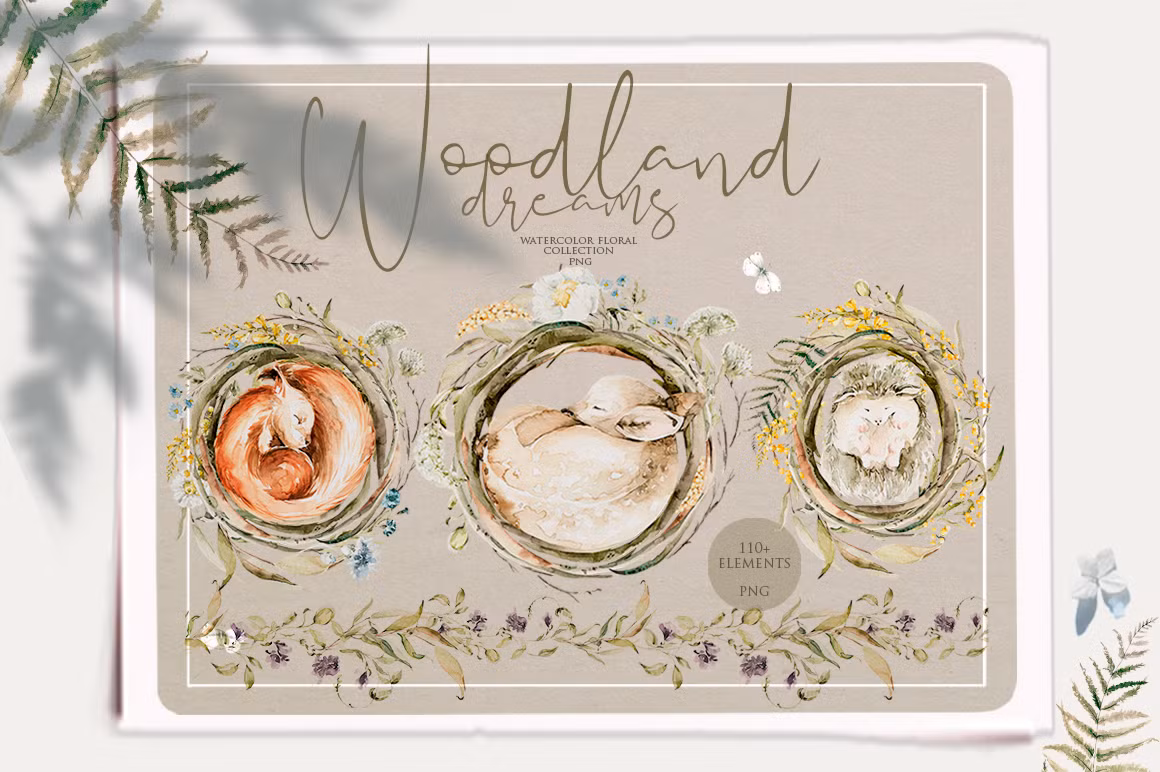 Sleeping baby animals Woodland