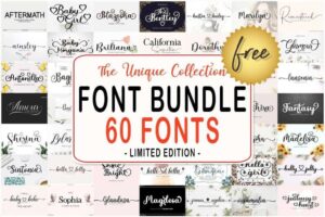 The Unique Collection Font Bundle