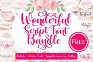 Wonderful Script Font Bundle