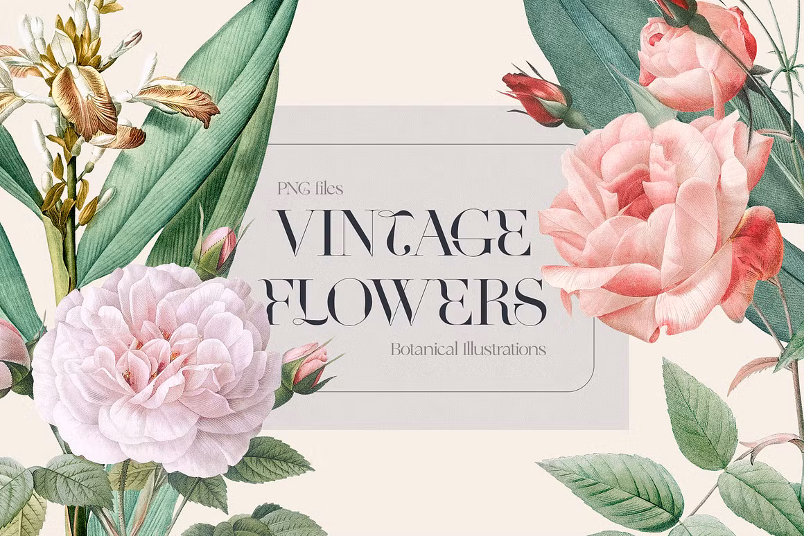 VINTAGE FLOWERS Watercolor Png Set