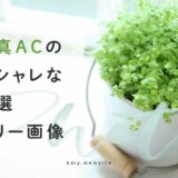 インスタグラムやブログデザインに!おしゃれな厳選フリー画像一覧【写真AC】