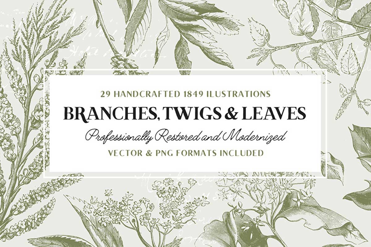 29 Branches Twigs & Leaves