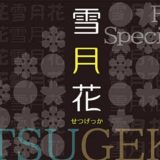 Font66 スペシャルパック 雪月花