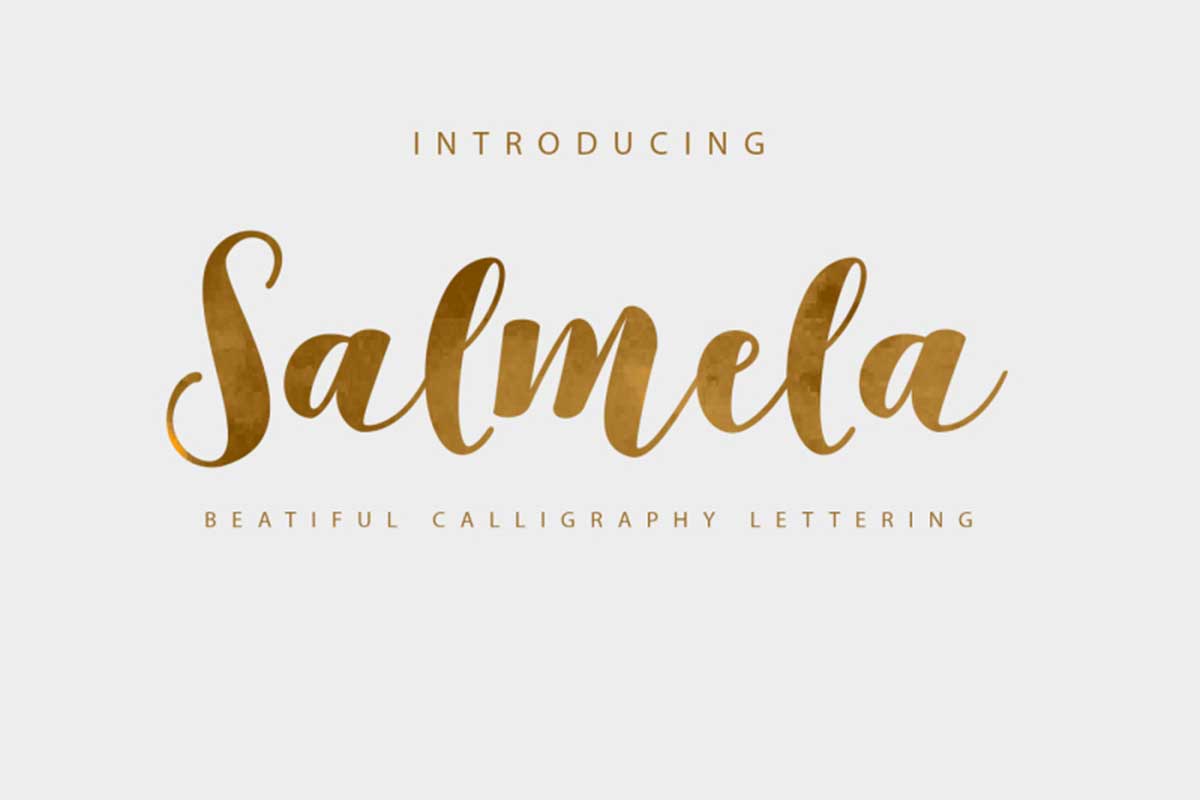 Salmela Script by Genesis Lab