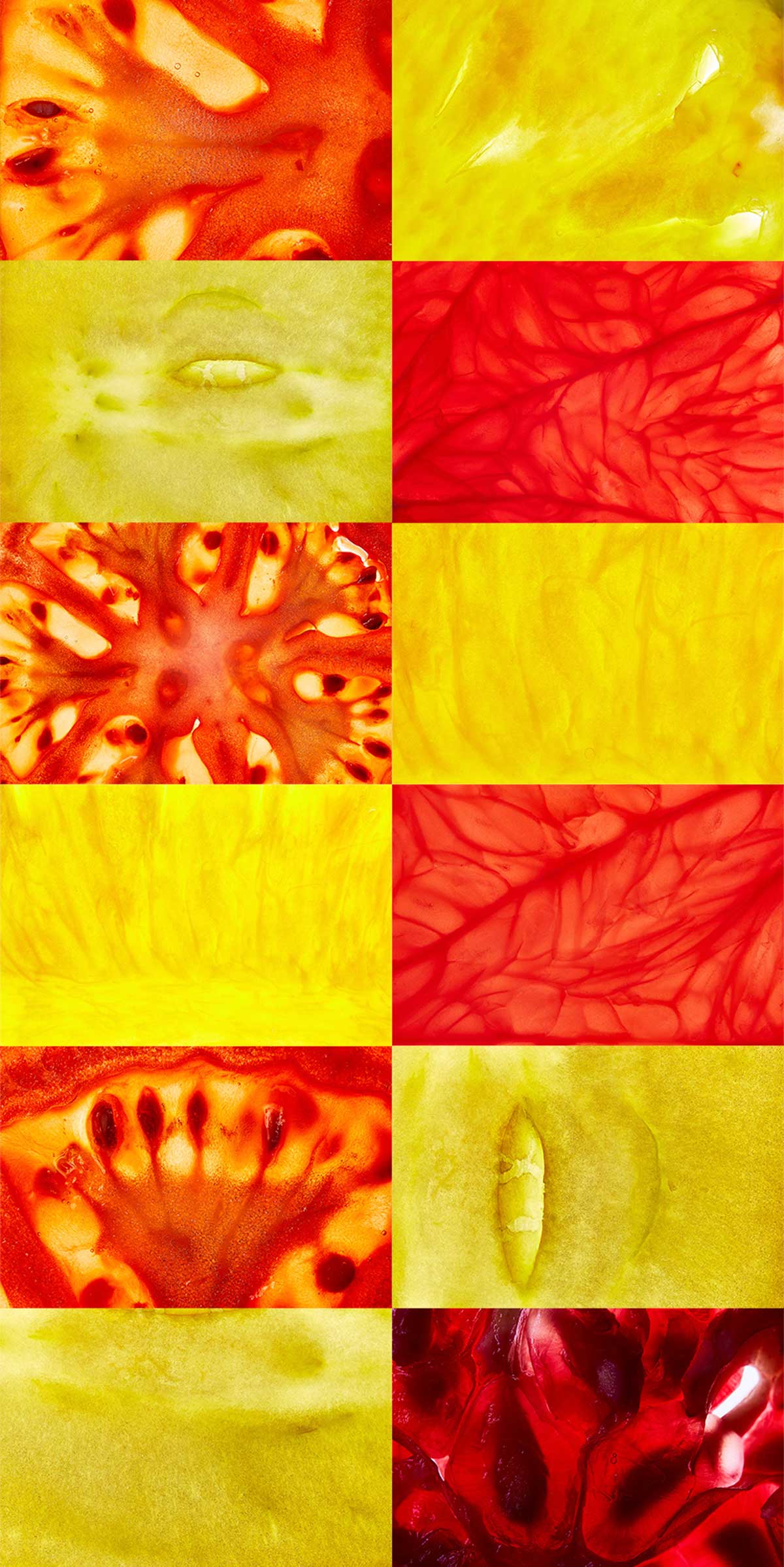 MACRO FRUIT AND VEGETABLE TEXTURES