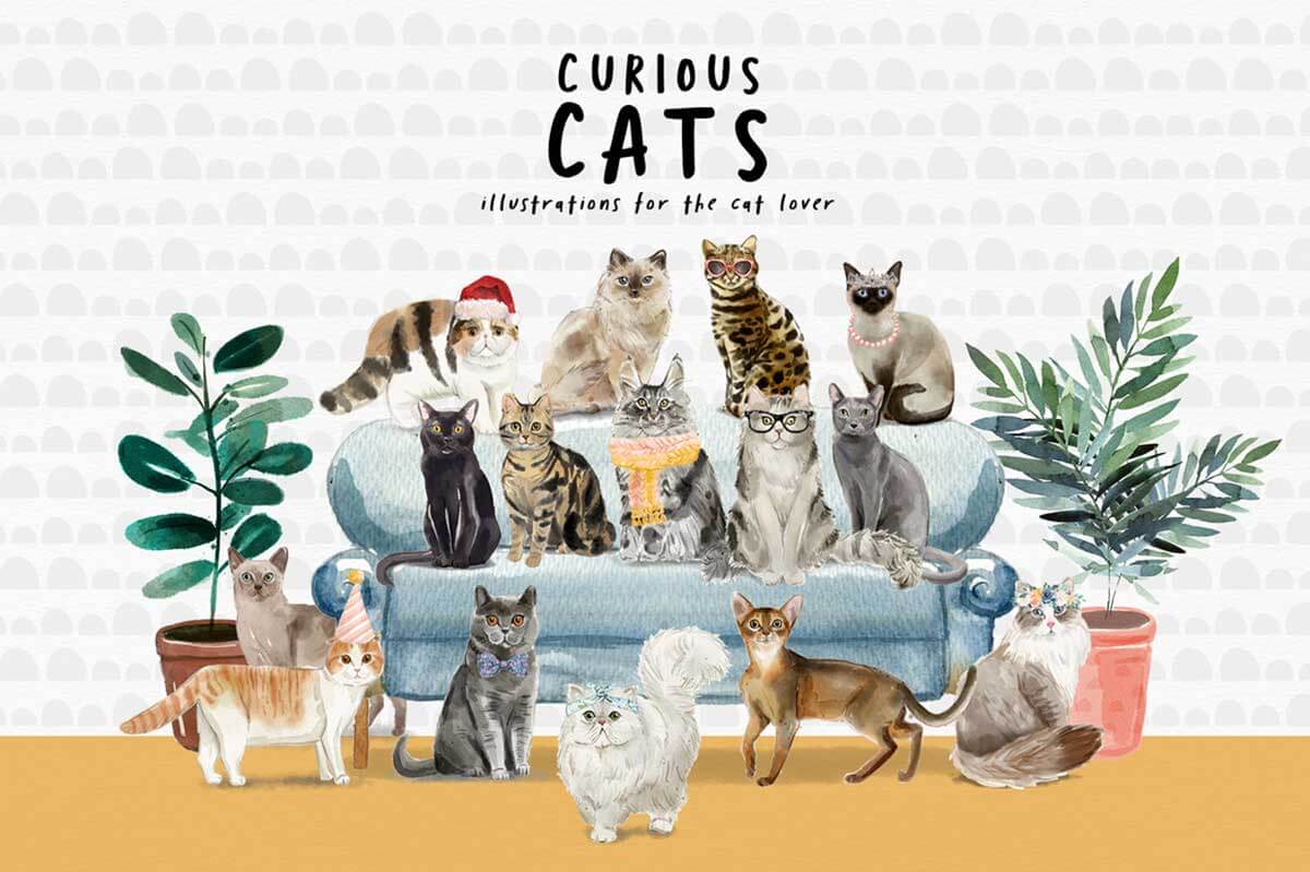 CURIOUS CATS – CAT ILLUSTRATIONS