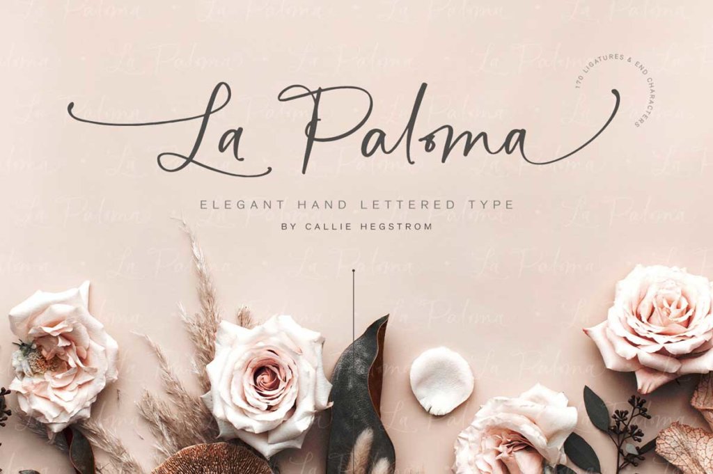 LA PALOMA SCRIPT AND CATCHWORDS