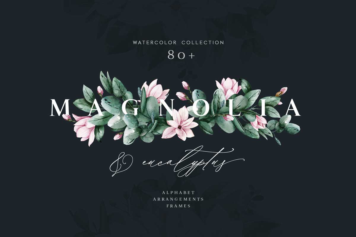 Magnolia & Eucalyptus Watercolor Set