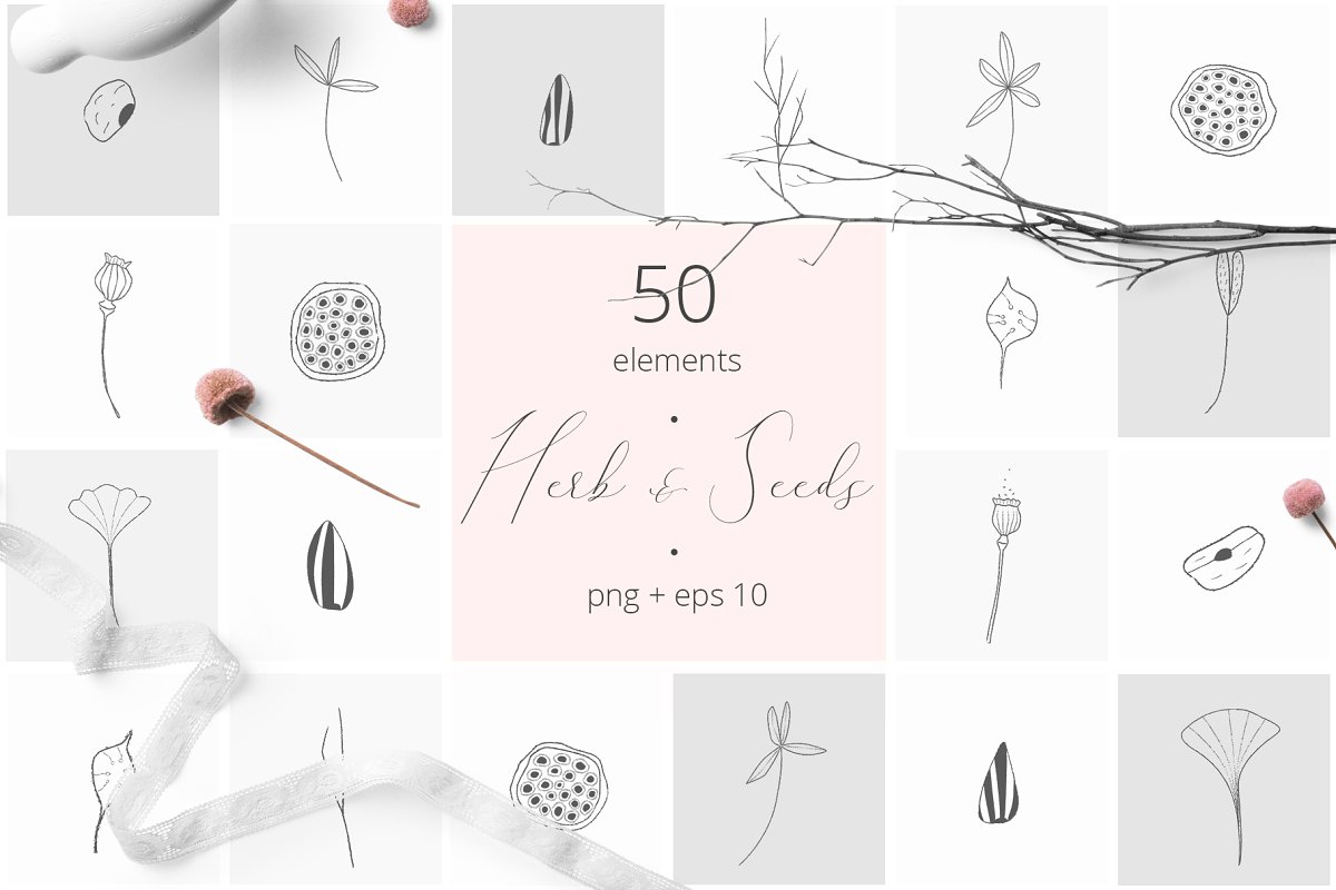 HERB & SEEDS VECTOR PENSIL ELEMENTS
