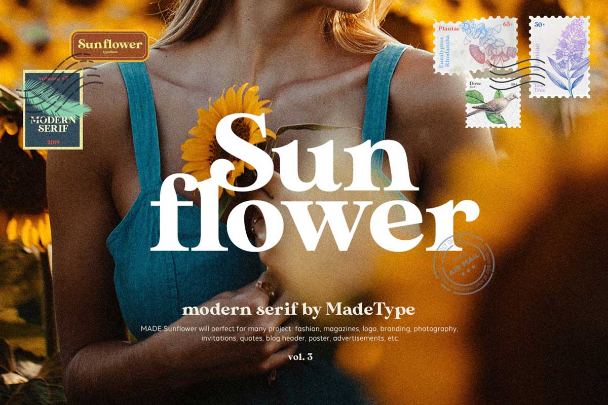 SUNFLOWER