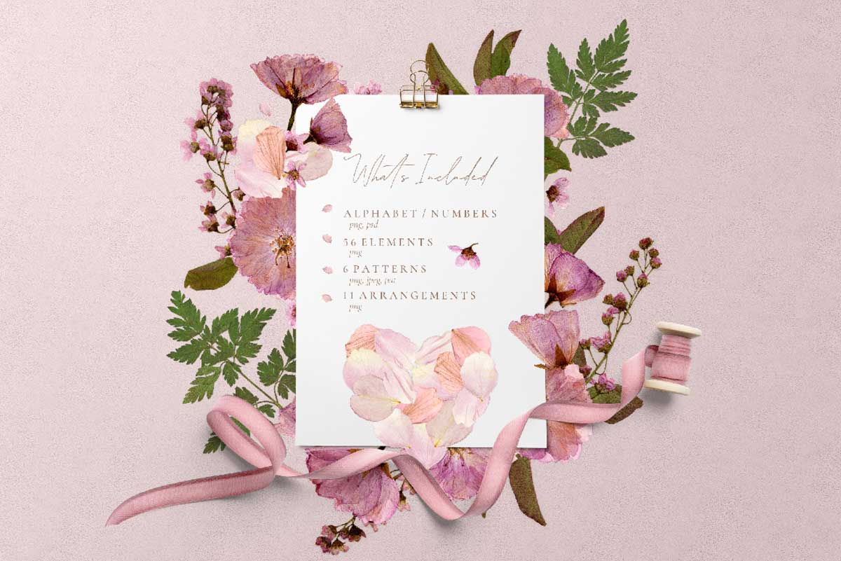 HERBARIUM VOL. 1 – CHERRY BLOSSOMS