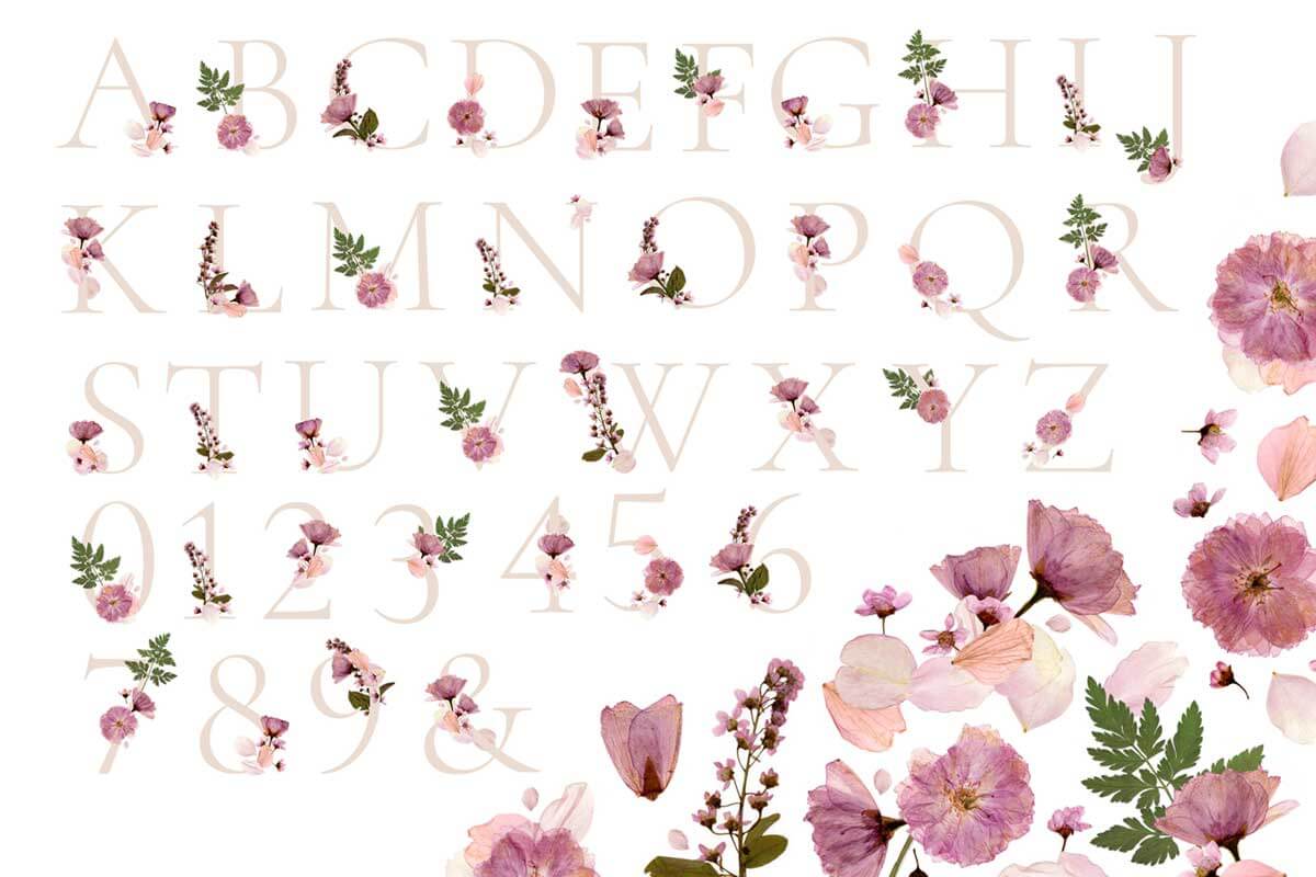 HERBARIUM VOL. 1 – CHERRY BLOSSOMS