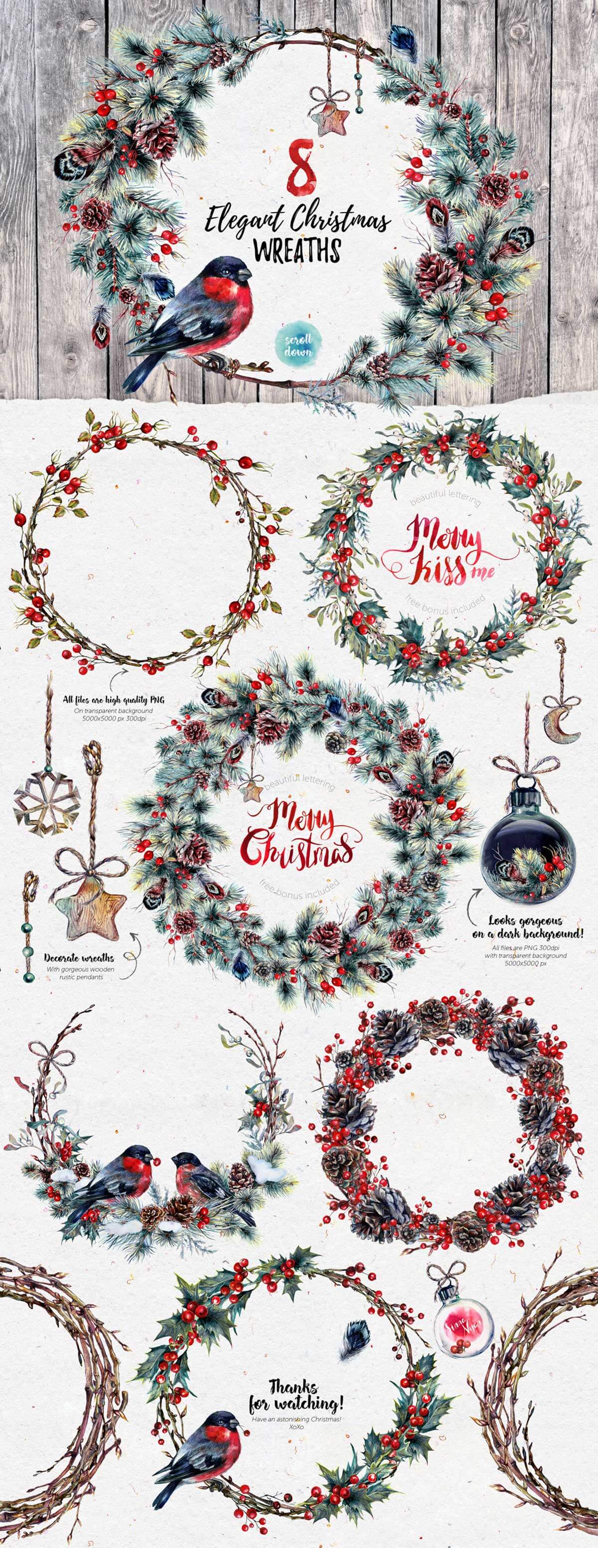 Mr Bullfinch Watercolor Clip-Art Xmas