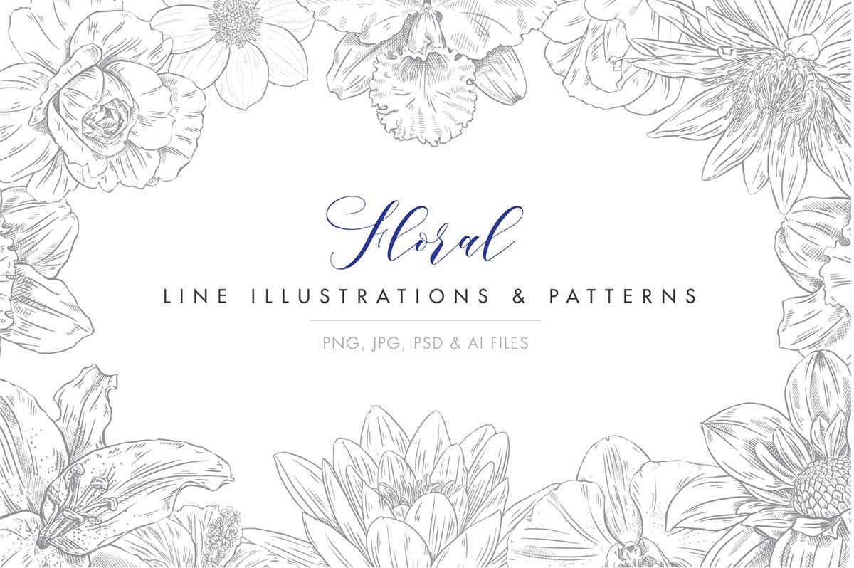 Line Floral Illustrations and Patterns