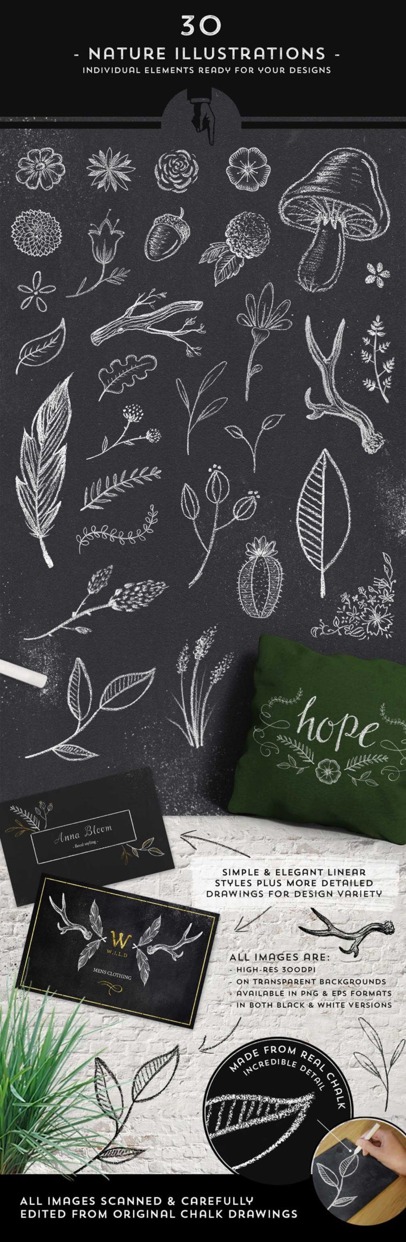 30 Chalk Nature Illustrations