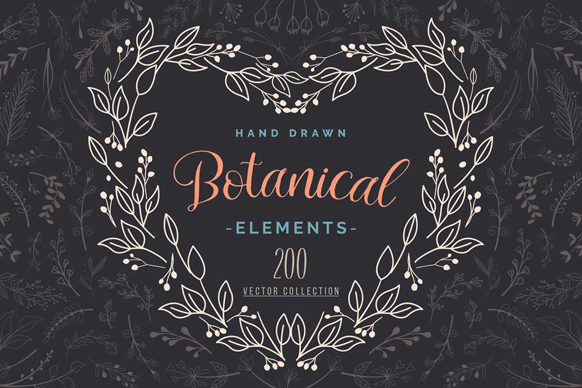 Hand Drawn Botanical Vector Elements
