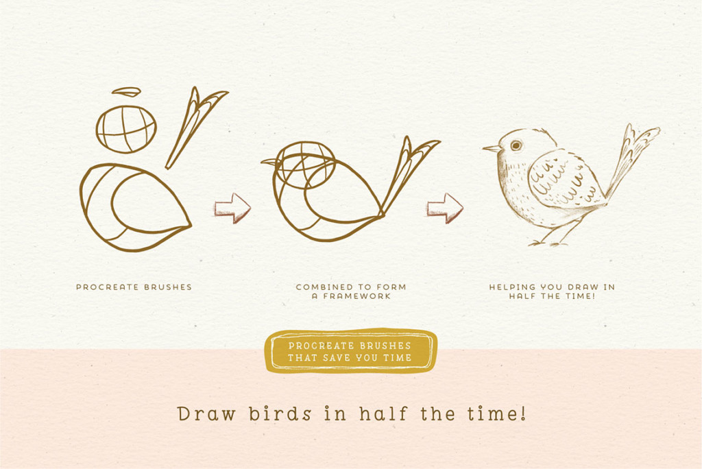 CHARACTER DRAWING TOOLKIT – BIRD EDITION
