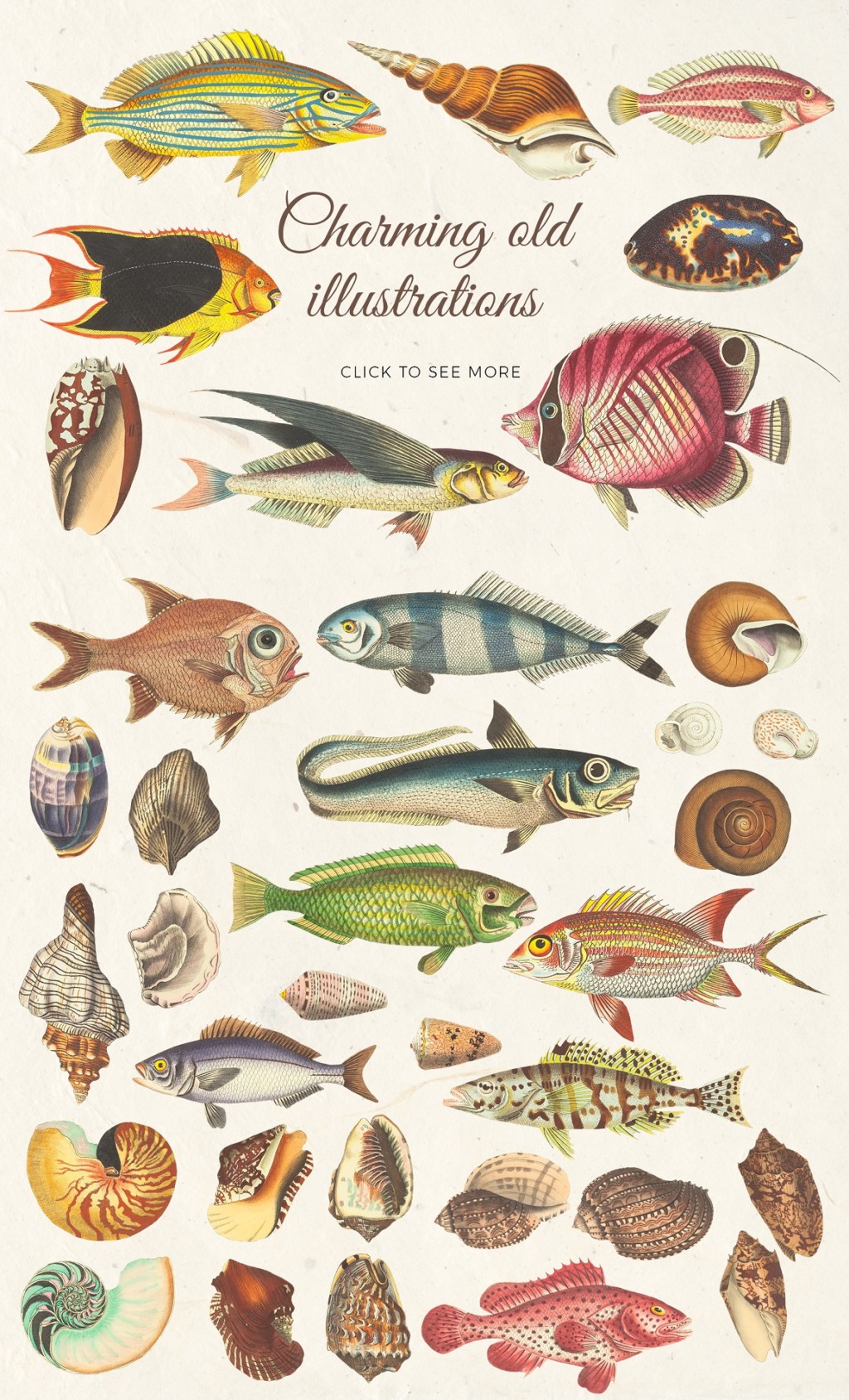 VINTAGE SEA – NAUTICAL DESIGN SET