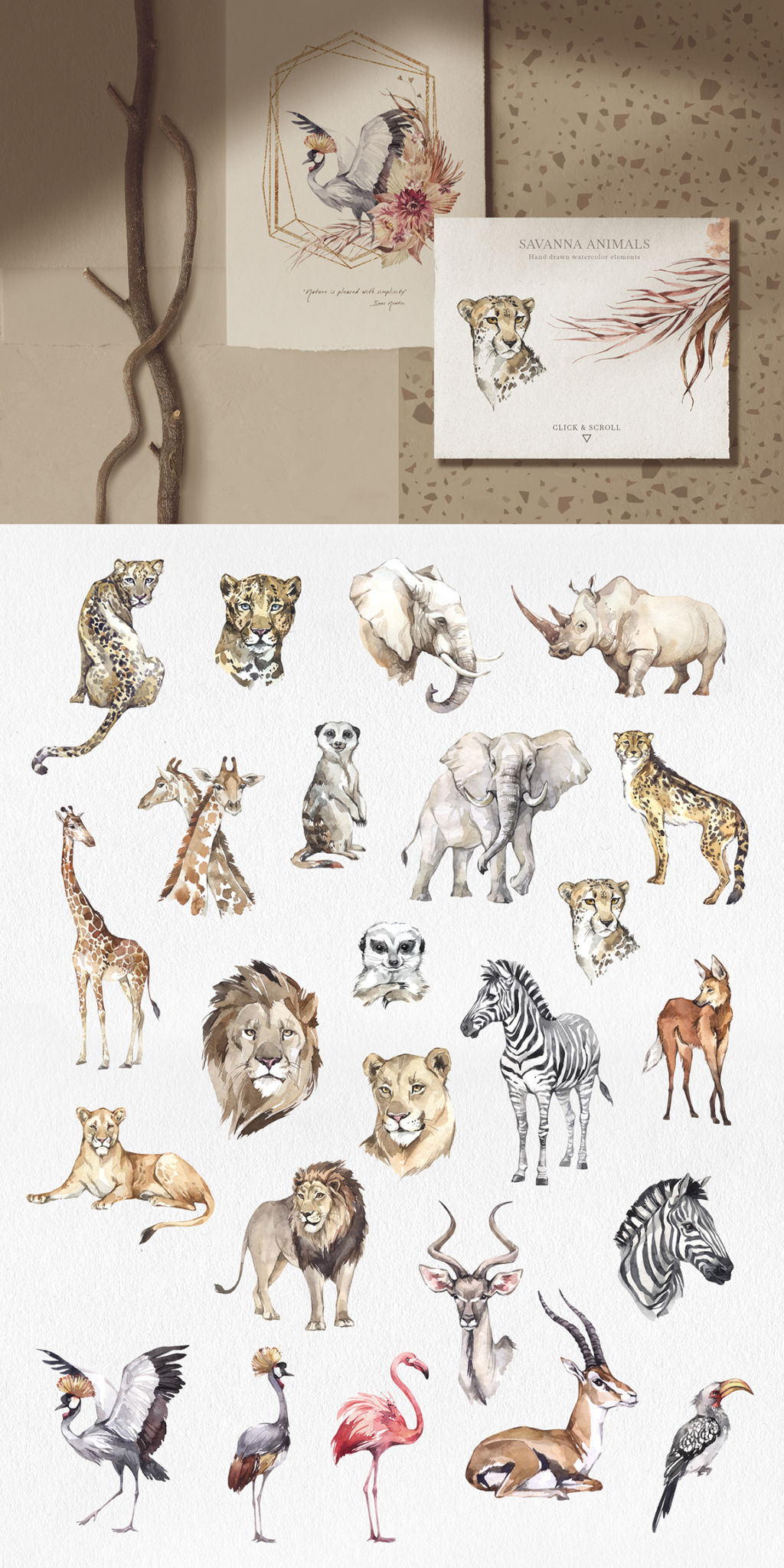 SAVANNA – WATERCOLOR ANIMALS COLLECTION