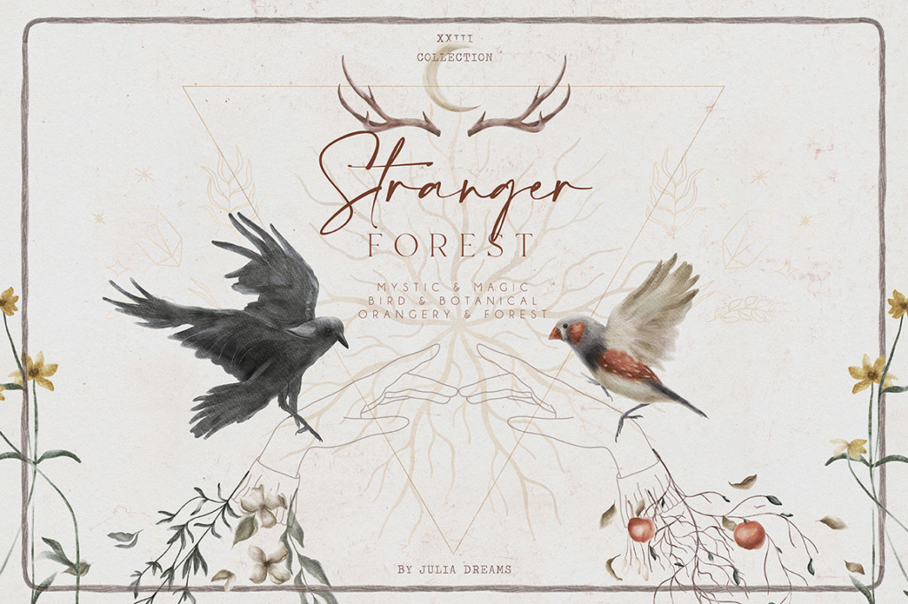 STRANGER FOREST COLLECTION