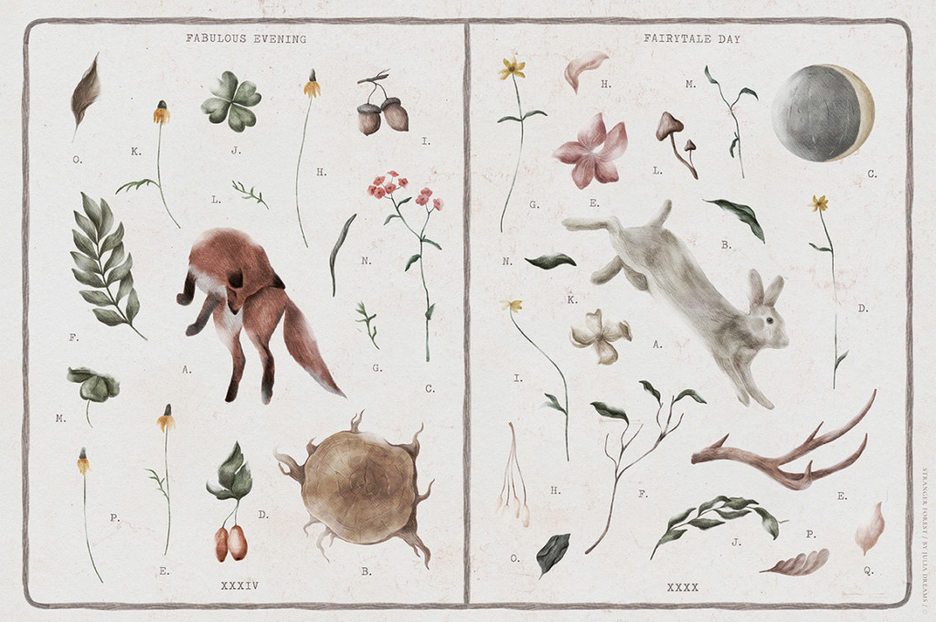 STRANGER FOREST COLLECTION