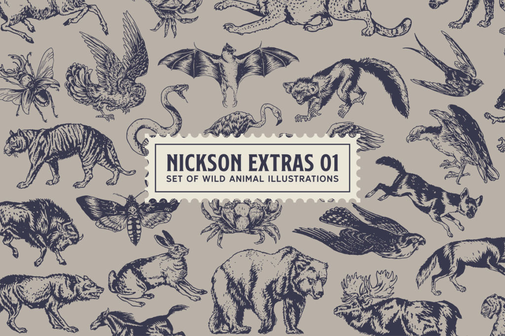 S&S NICKSON FONT FAMILY