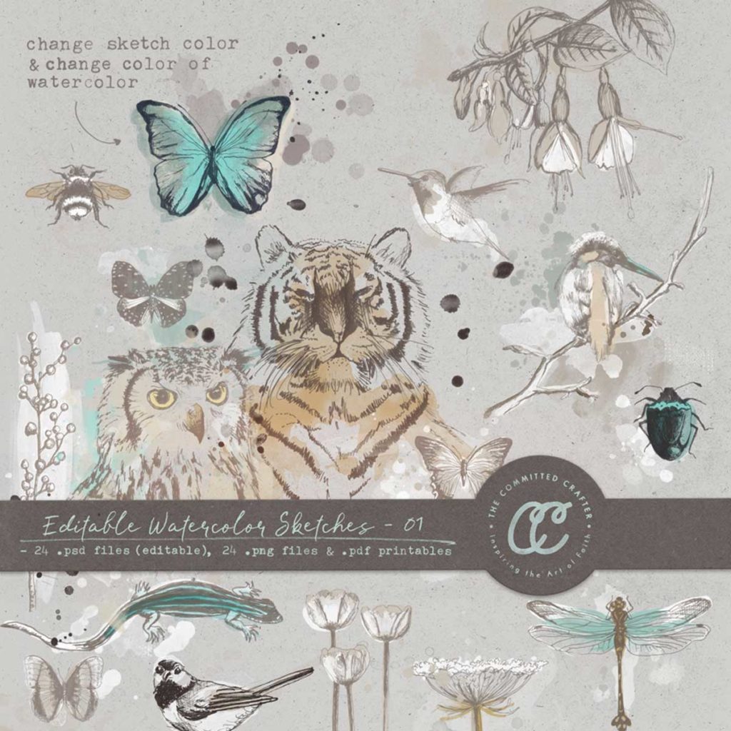 Editable Watercolor Sketches 01