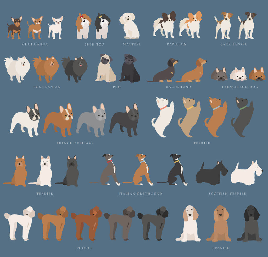 HER PORTRAIT ROOM CHARACTER CREATOR – DOGS AND CATS COLLECTION