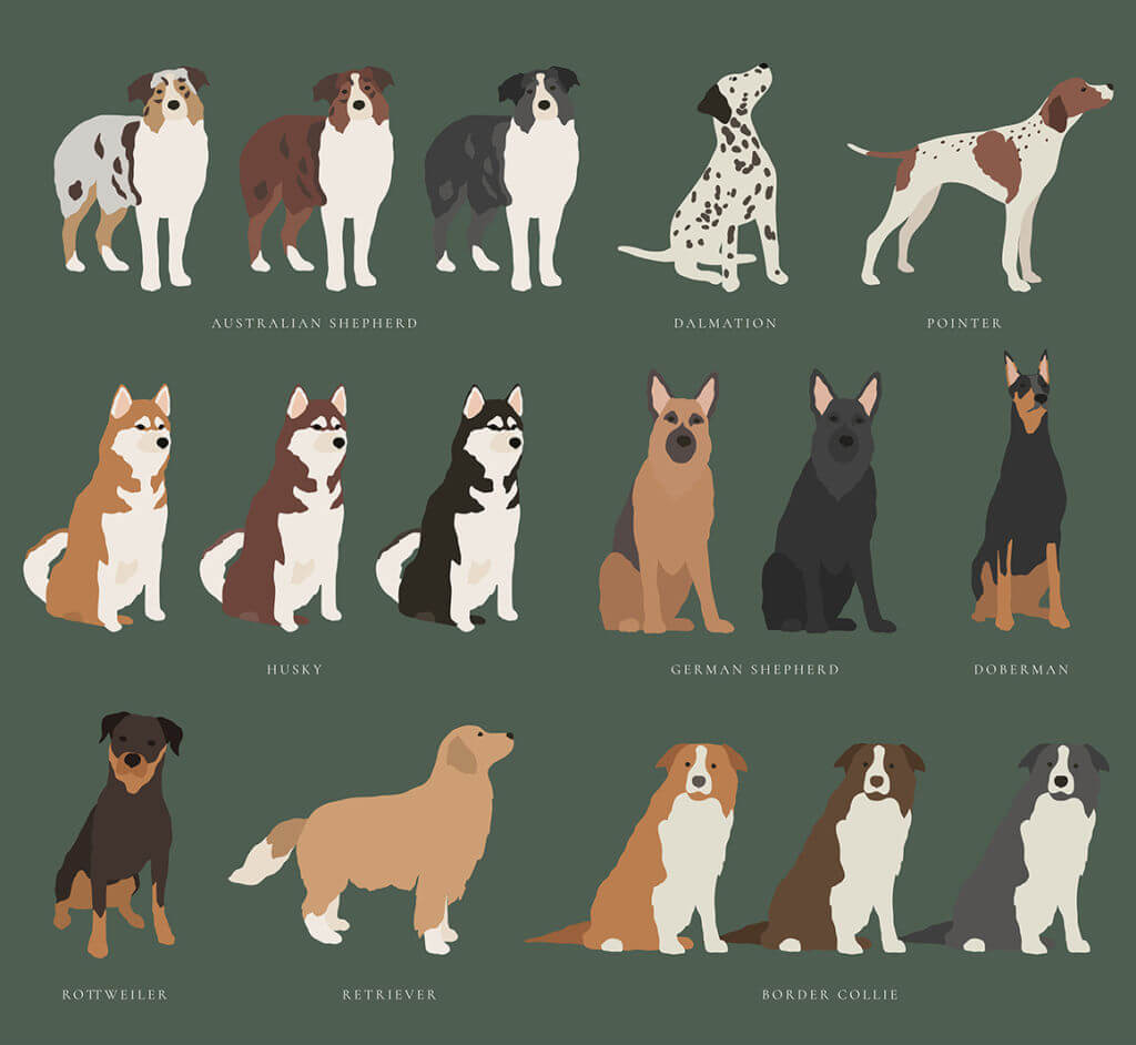 HER PORTRAIT ROOM CHARACTER CREATOR – DOGS AND CATS COLLECTION