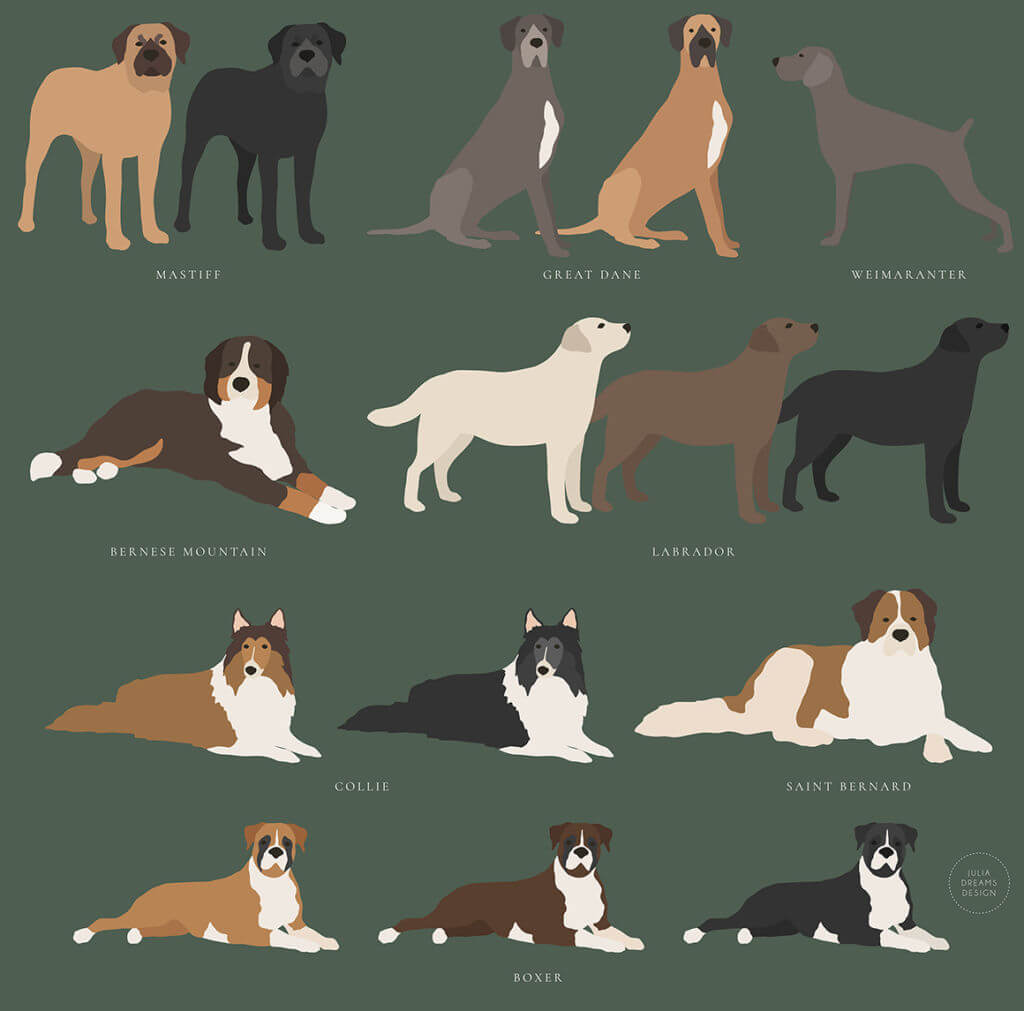 HER PORTRAIT ROOM CHARACTER CREATOR – DOGS AND CATS COLLECTION