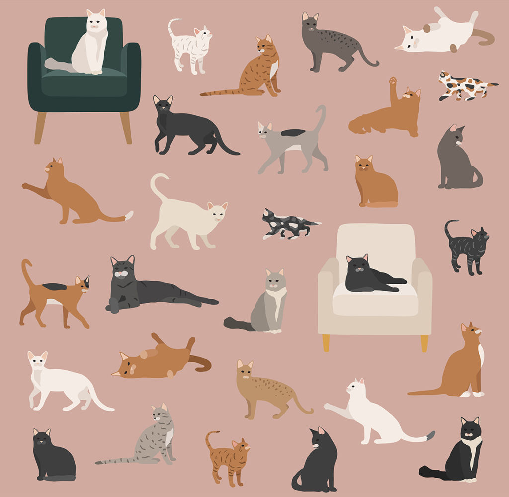 HER PORTRAIT ROOM CHARACTER CREATOR – DOGS AND CATS COLLECTION