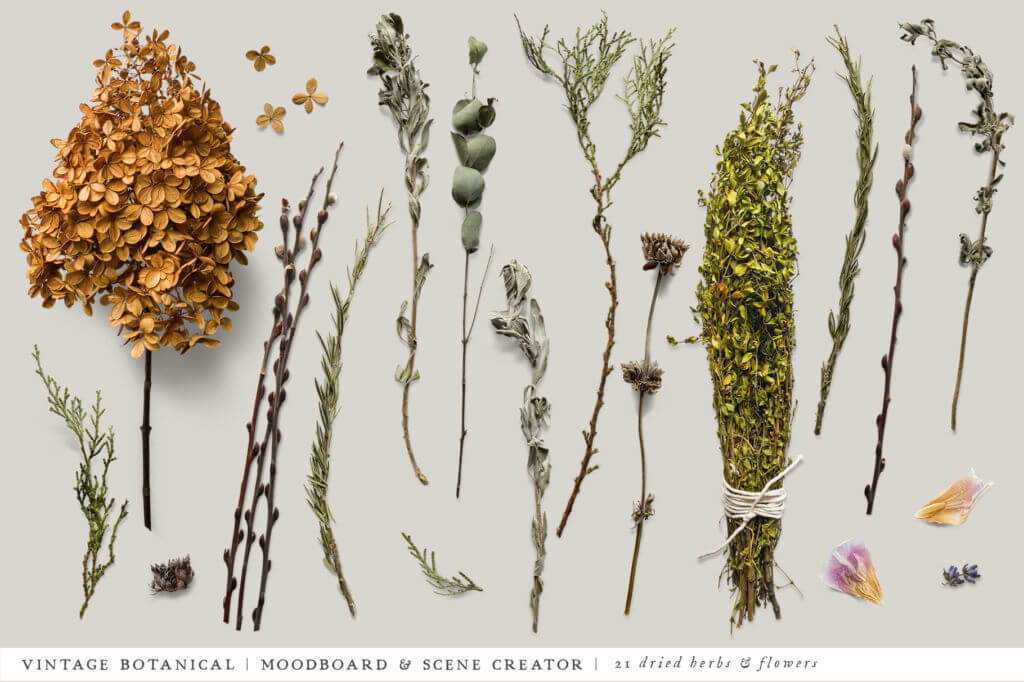 BOTANICAL MOODBOARD SCENE CREATOR