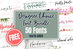 Designer Choice - Font Bundle