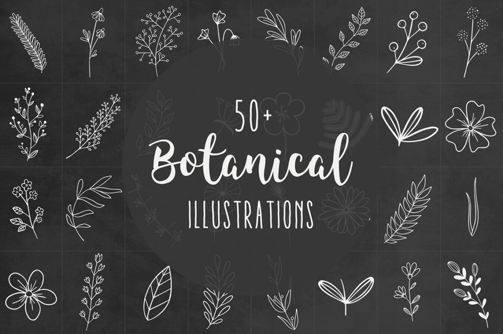 50+ Botanical Illustrations
