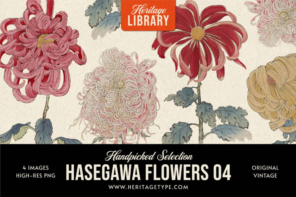 Hasegawa Flowers 04
