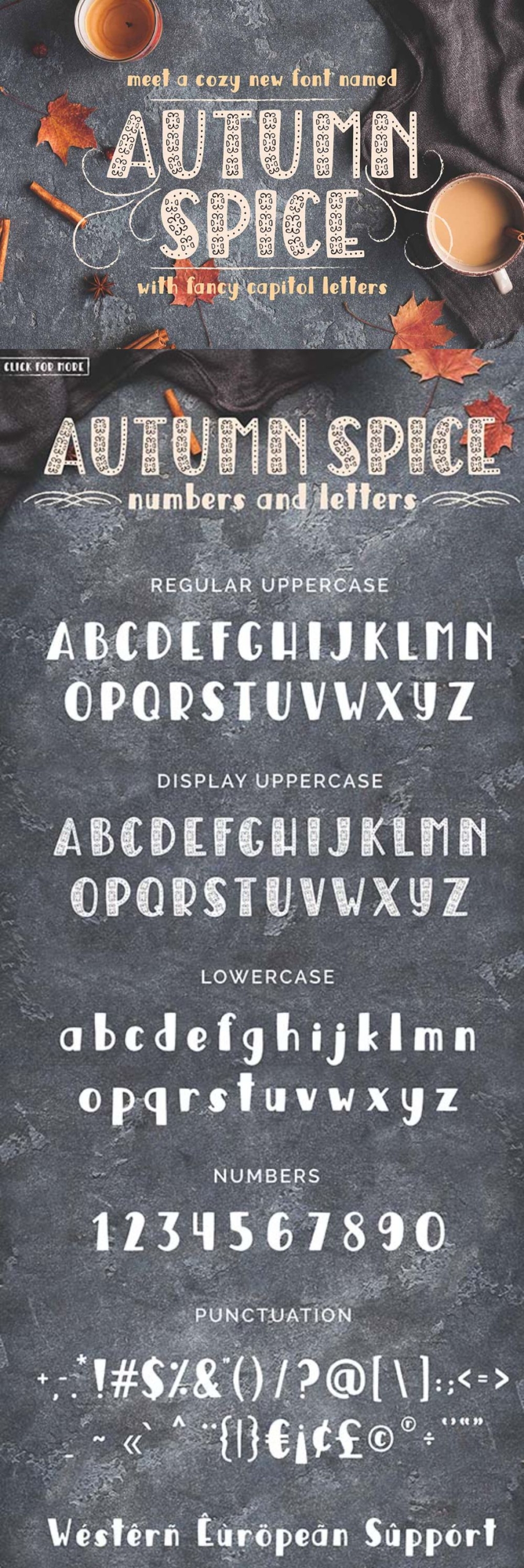 Autumn Spice Display Sans Serif Font