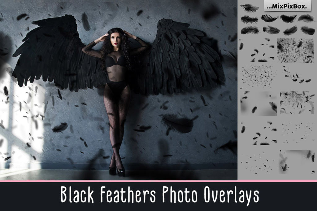 Black Feathers Overlays
