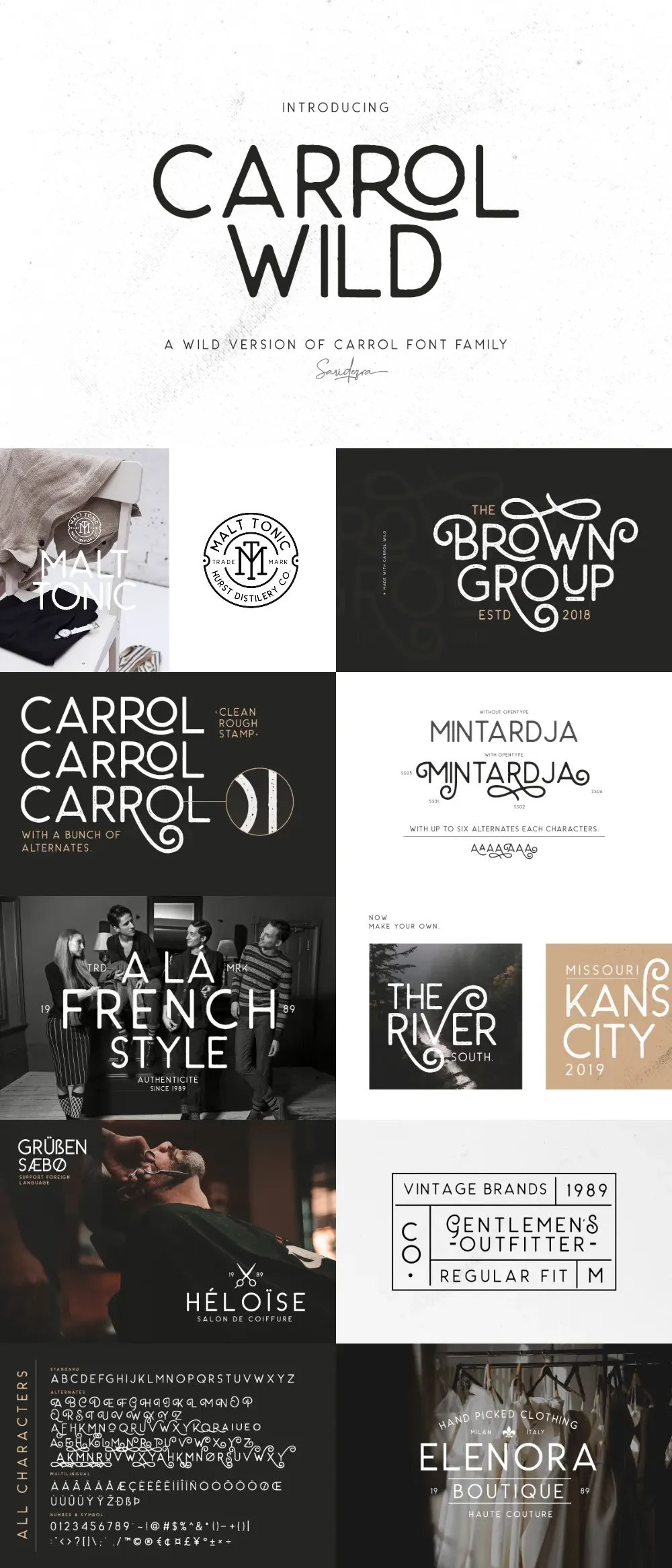 Carrol Wild – Modern Sans