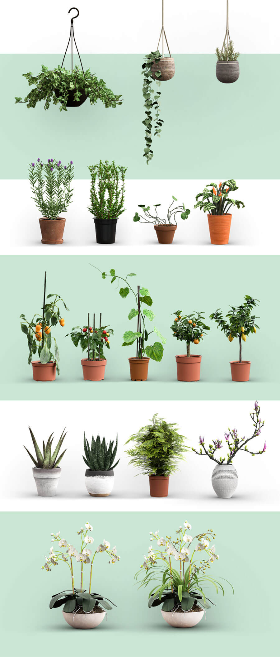 DAENTY BOTANICAL SCENE CREATOR