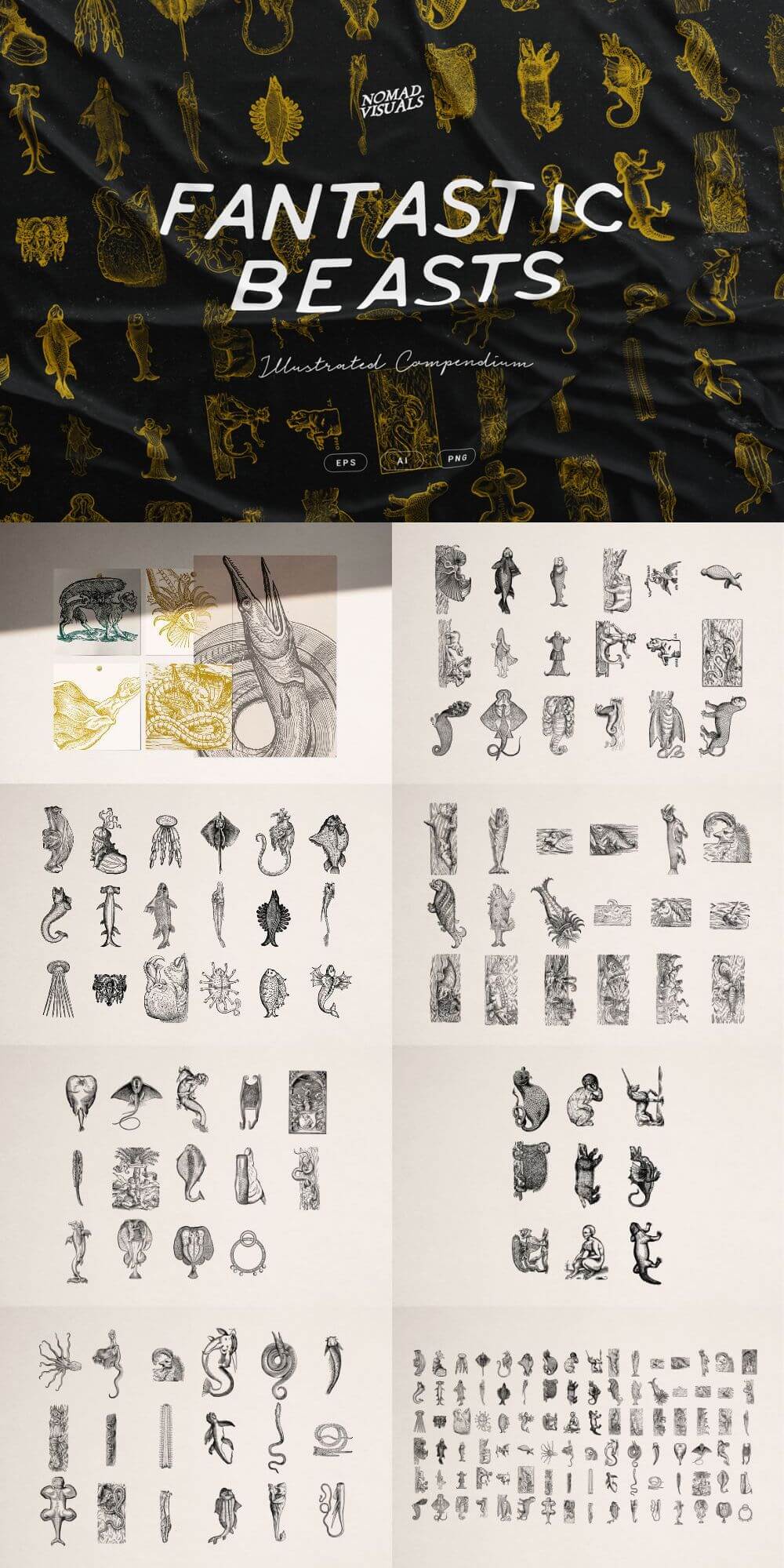 Fantastic Beasts Illustrations