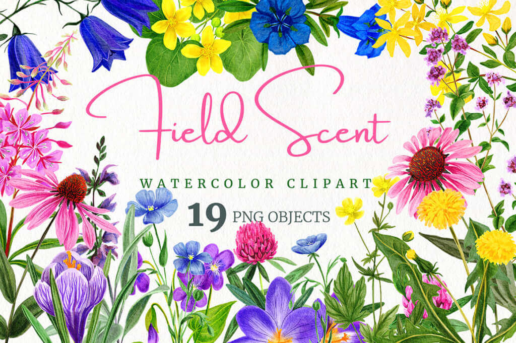 Field Flowers Watercolor Collection