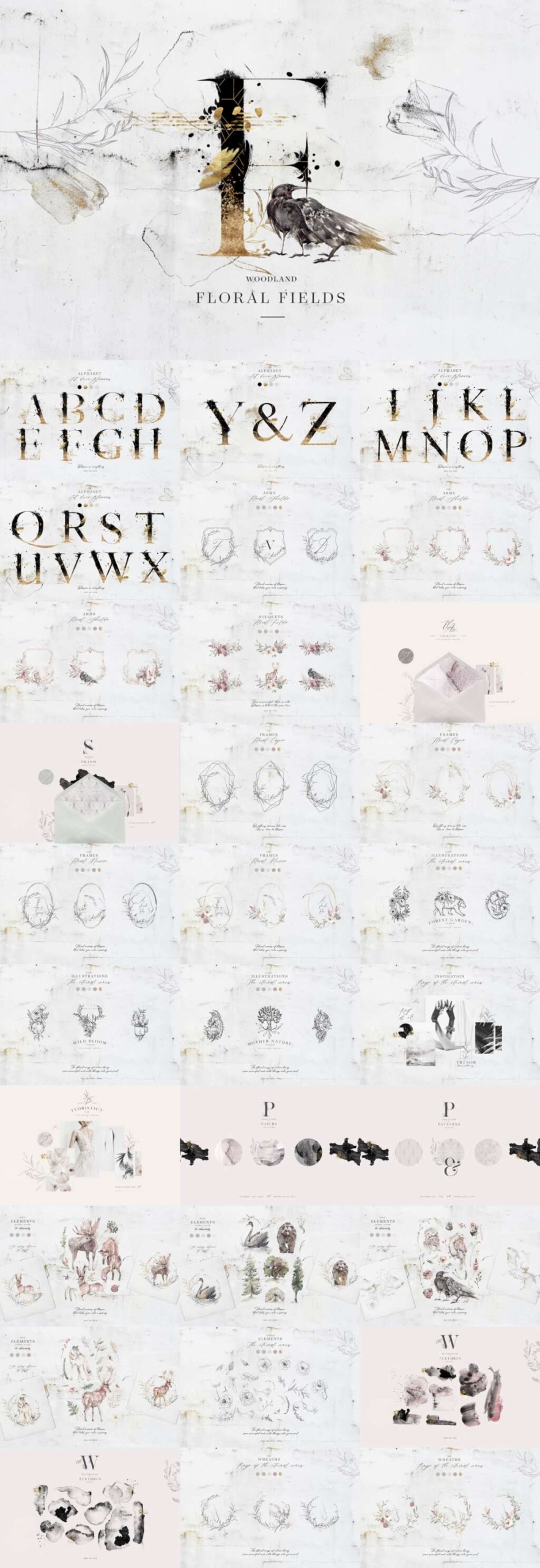 Floral Fields Alphabet & Graphics