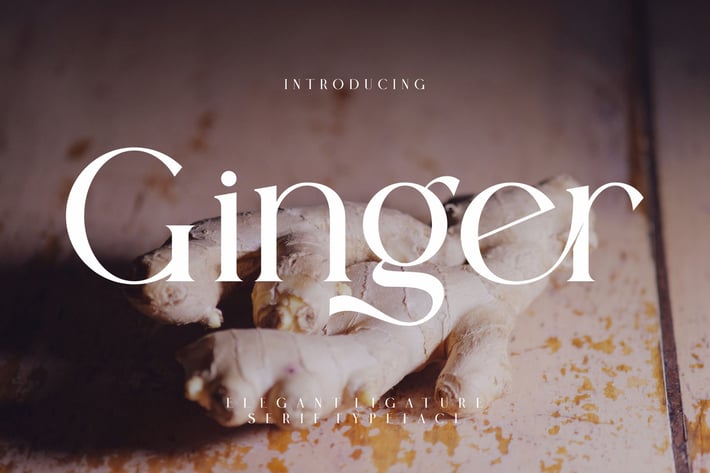 Ginger Elegant Ligature Serif Typeface
