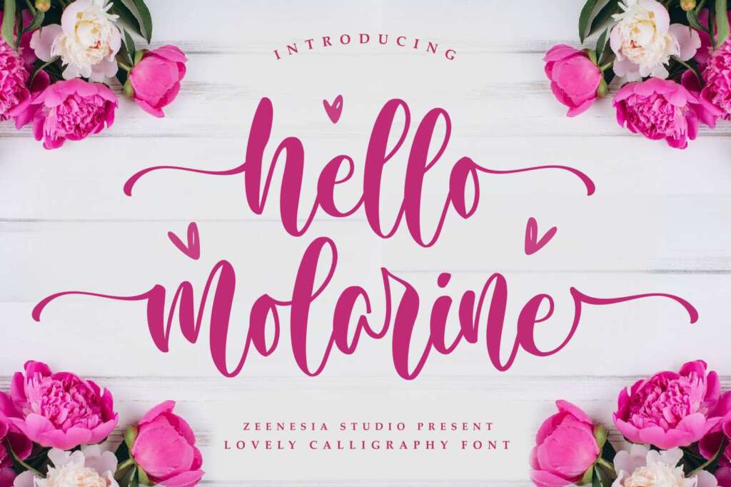 Hello Molarine Font Font
