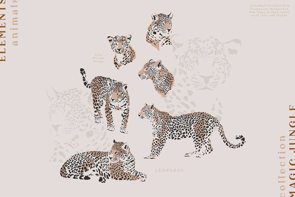 MAGIC JUNGLE COLLECTION