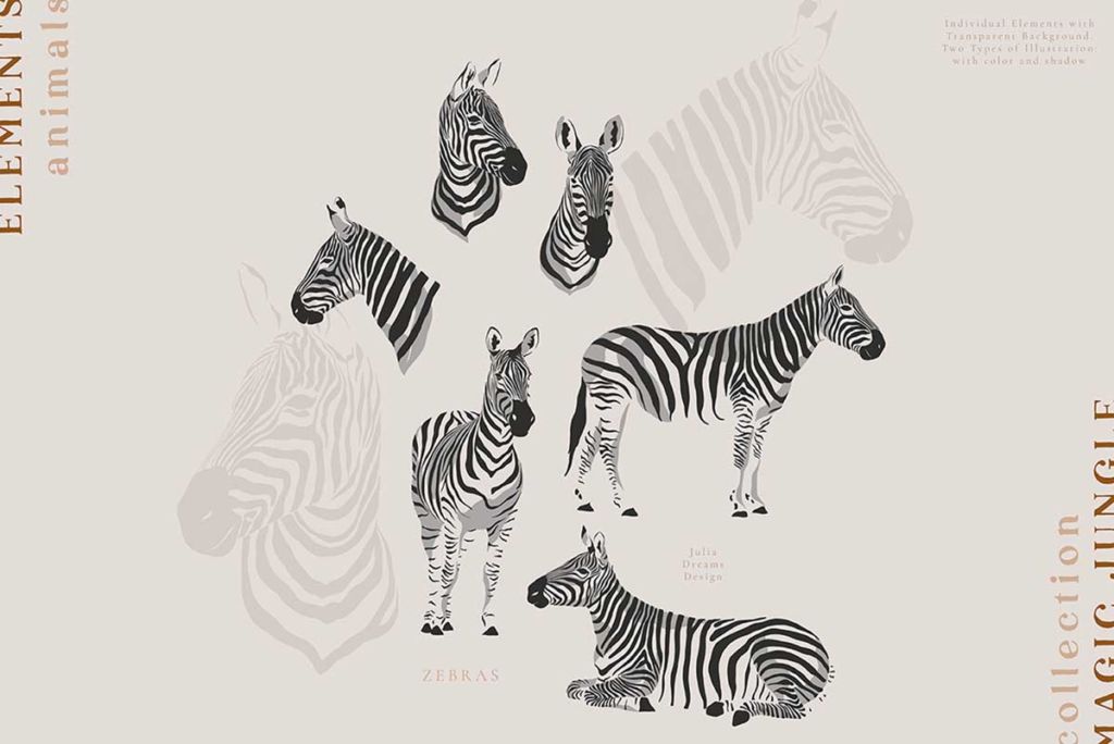 MAGIC JUNGLE COLLECTION