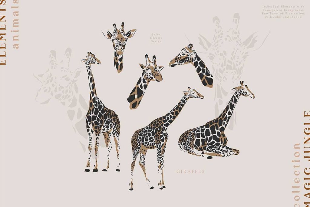 MAGIC JUNGLE COLLECTION