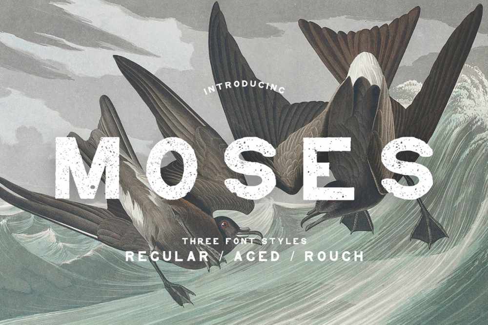Moses – Display Grotesque Typeface