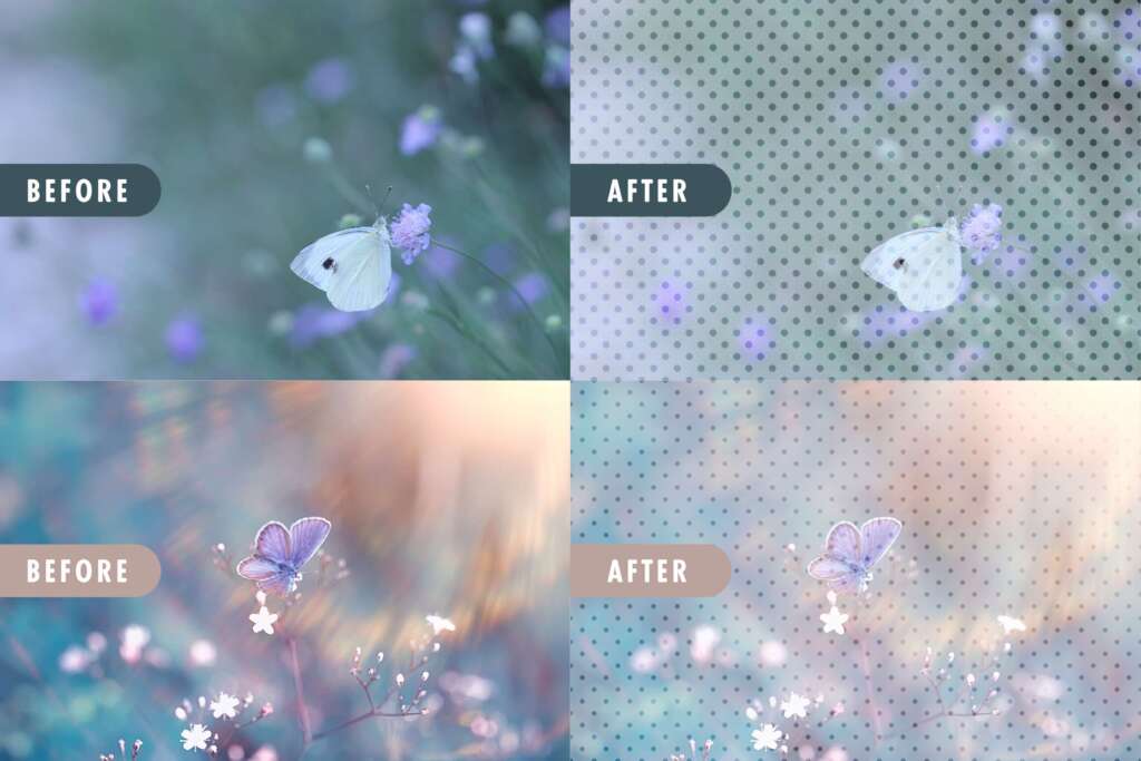 Polka Dot Translucent Photo Overlays